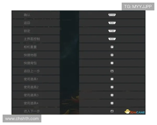 hth·华体会手机版：全面解析最新版本的游戏体验与操作指南